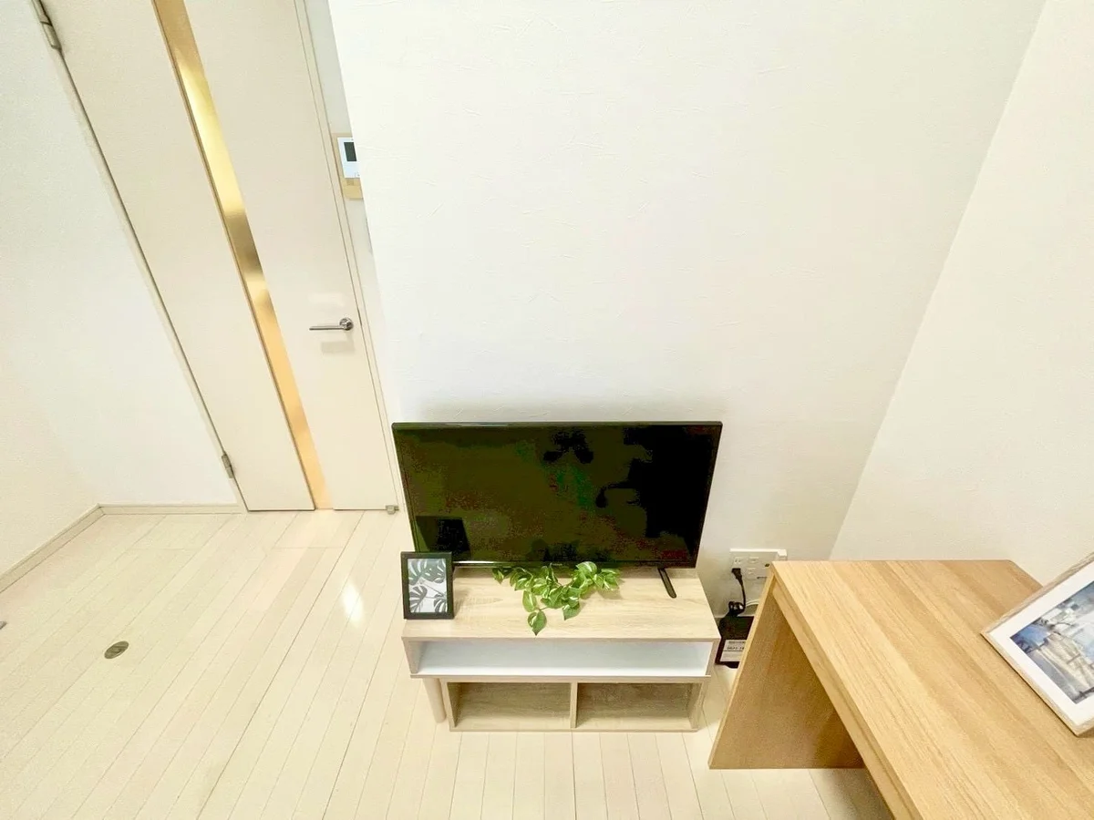 ※撮影用の観察植物・食器調理器具・雑貨類等はございません。※写真は現況優先