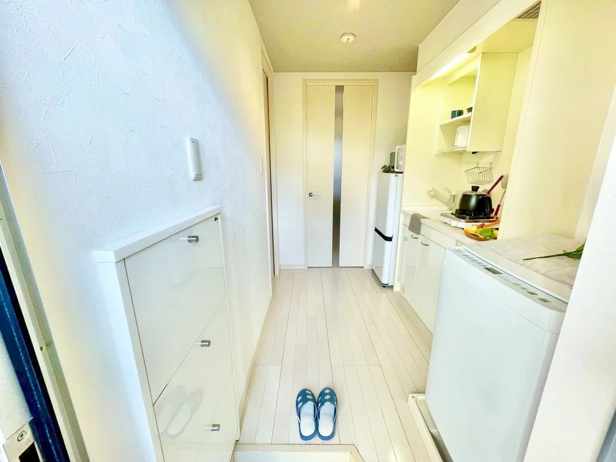 ※撮影用の観察植物・食器調理器具・雑貨類等はございません。※写真は現況優先