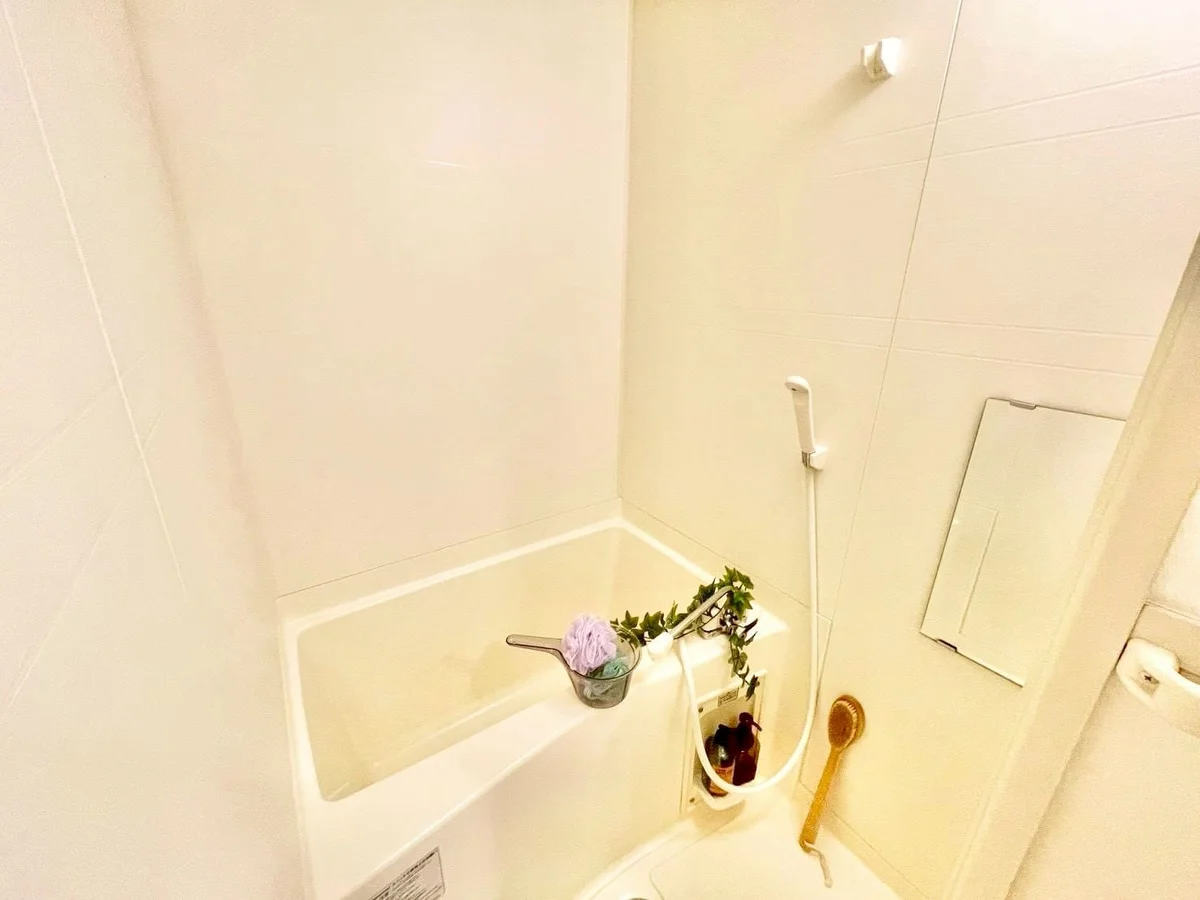 ※撮影用の観察植物・食器調理器具・雑貨類等はございません。※写真は現況優先