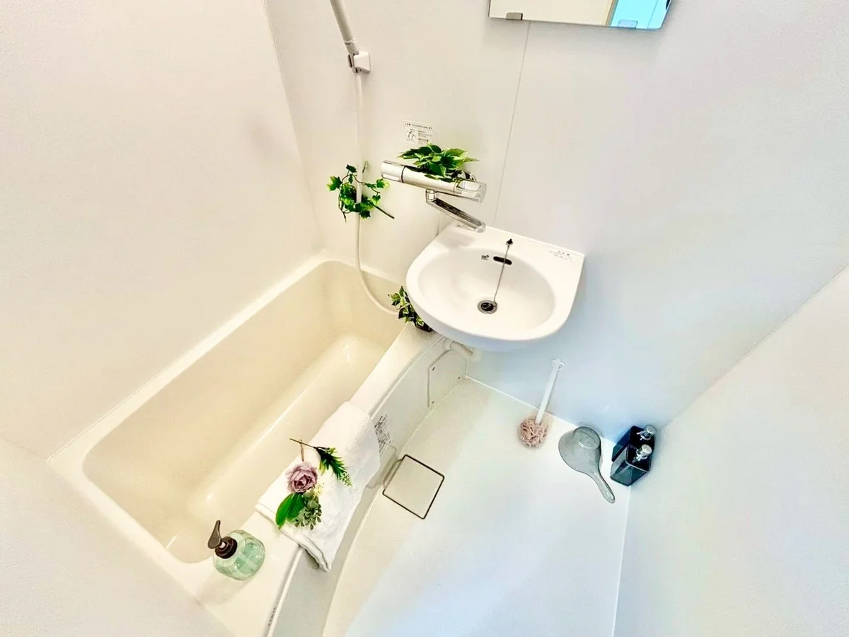 ※撮影用の観察植物・食器調理器具・雑貨類等はございません。※写真は現況優先