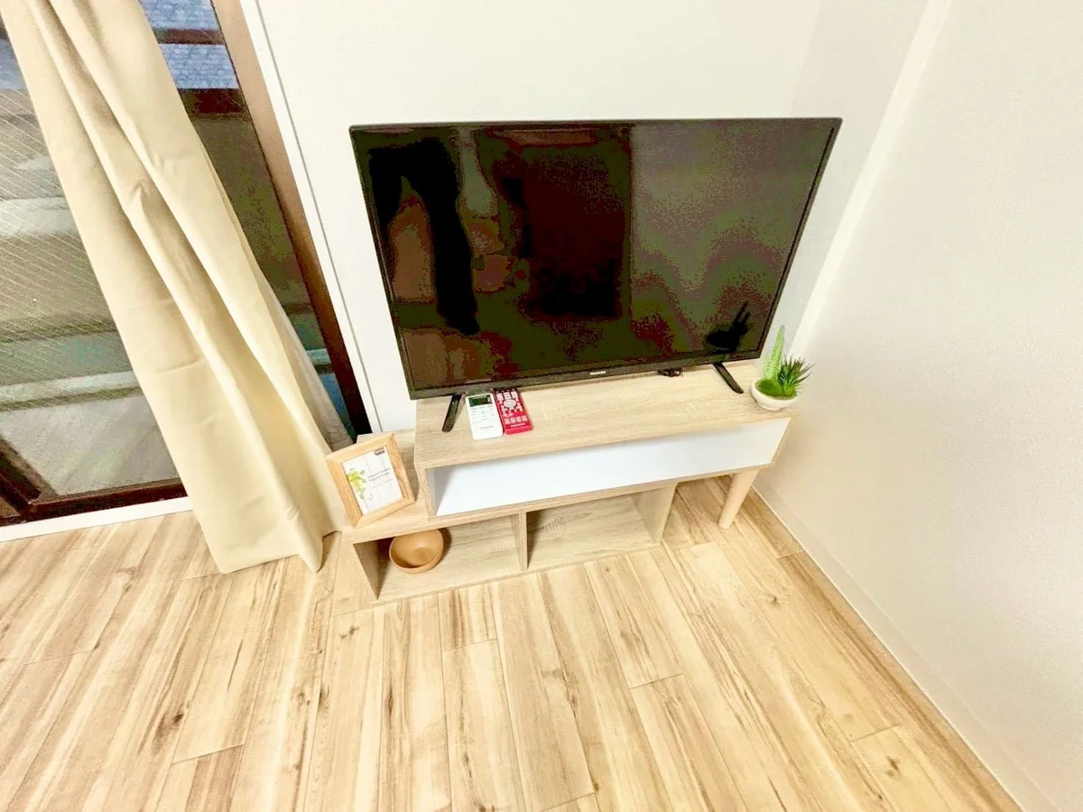 ※撮影用の観察植物・食器調理器具・雑貨類等はございません。※写真は現況優先