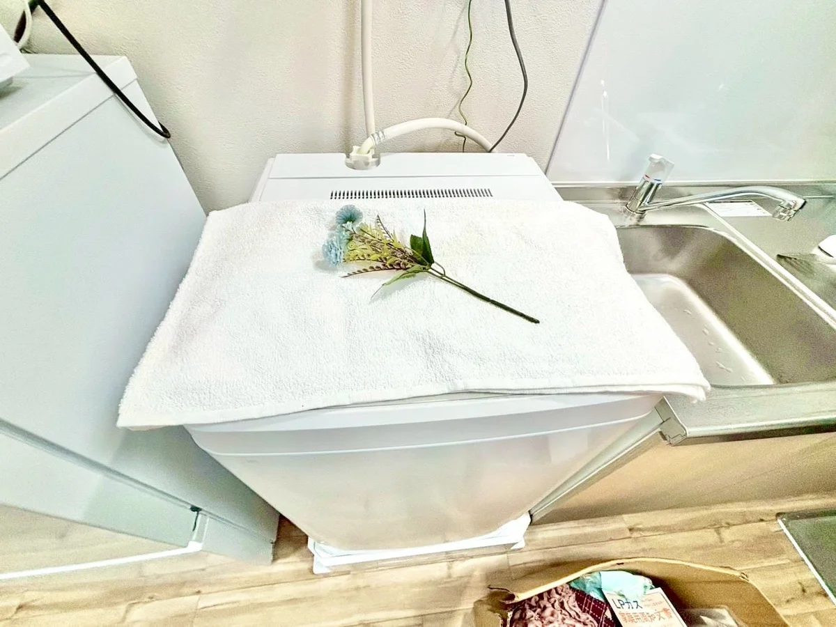 ※撮影用の観察植物・食器調理器具・雑貨類等はございません。※写真は現況優先