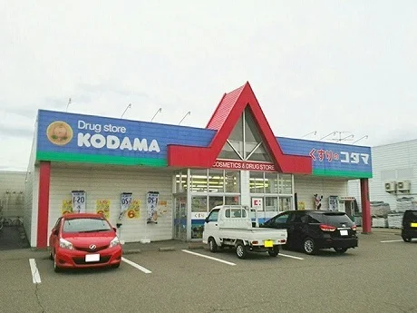 くすりのコダマまで900m