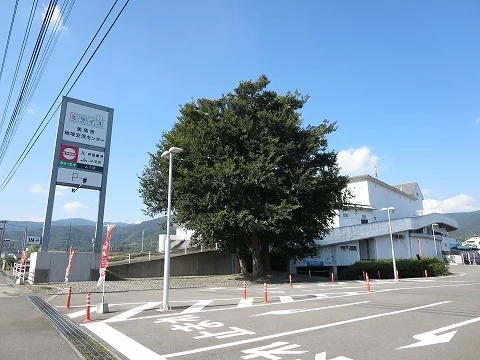 キョーエイさんまで1700m