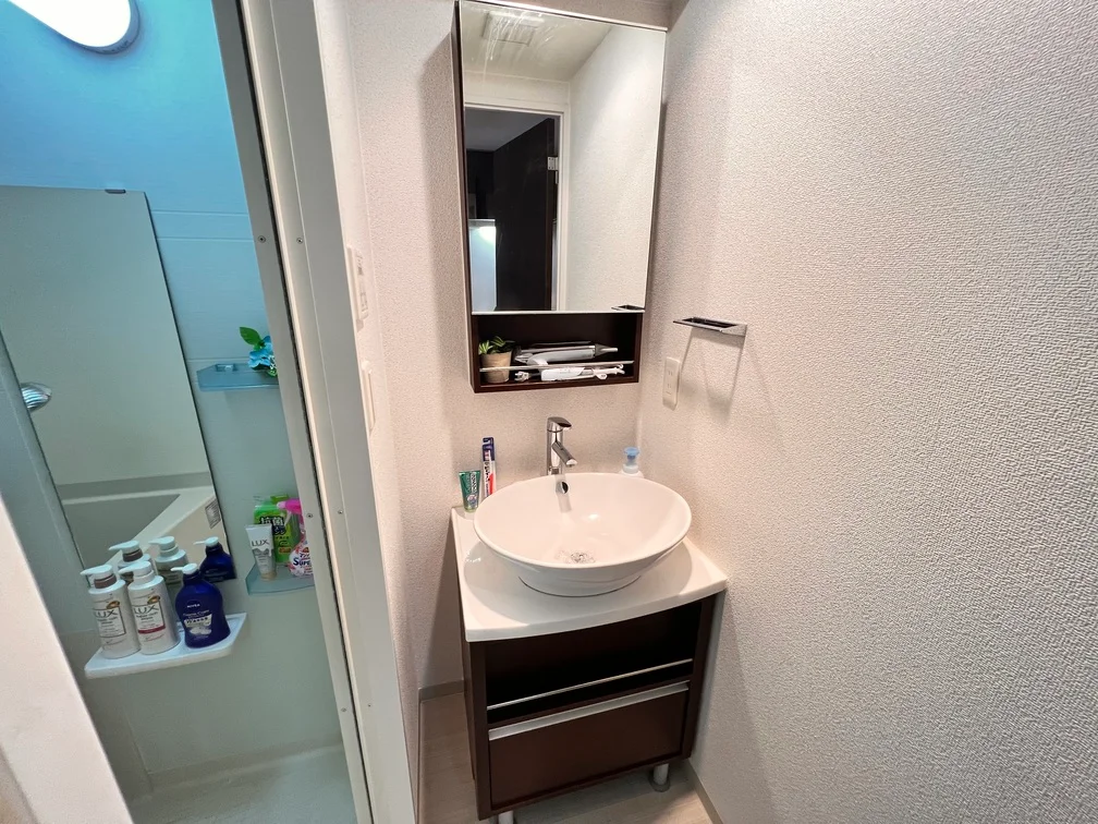 センスの光る洗面ボウル