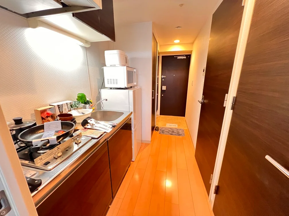 見えにくいけど2口ガスシステムです