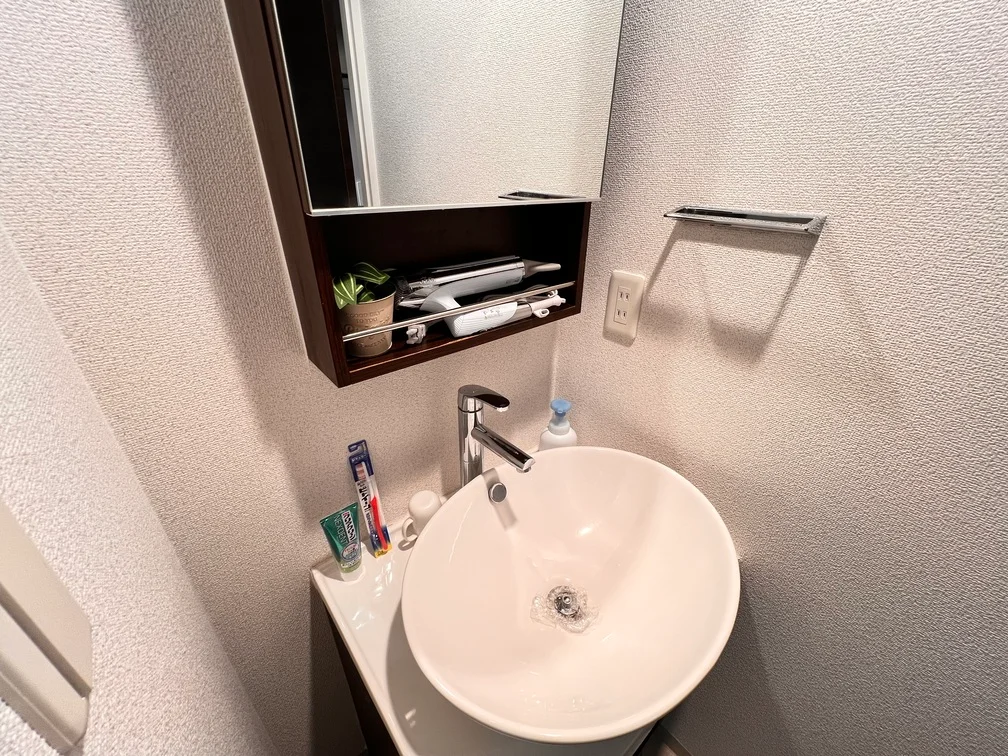 この洗面台は普通の賃貸物件にはないですね。