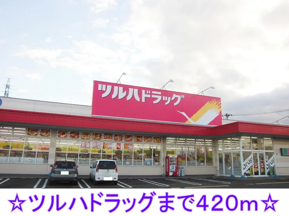 ツルハドラッグまで420m