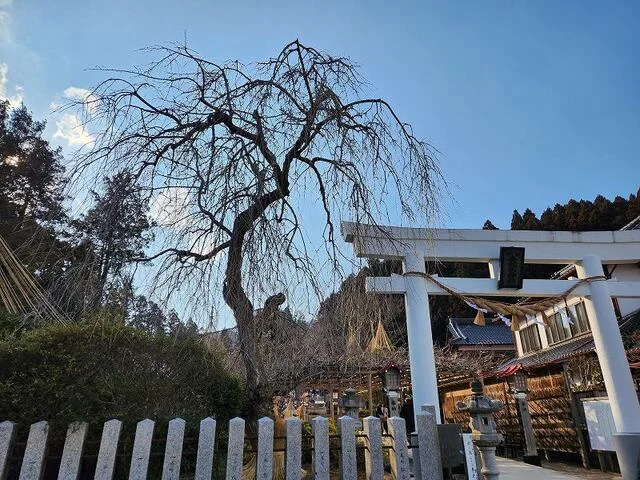 金蛇水神社まで1300m