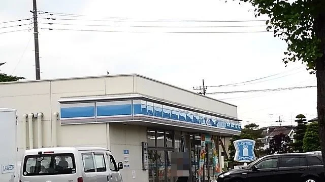 ローソン葛梅二丁目店まで750m