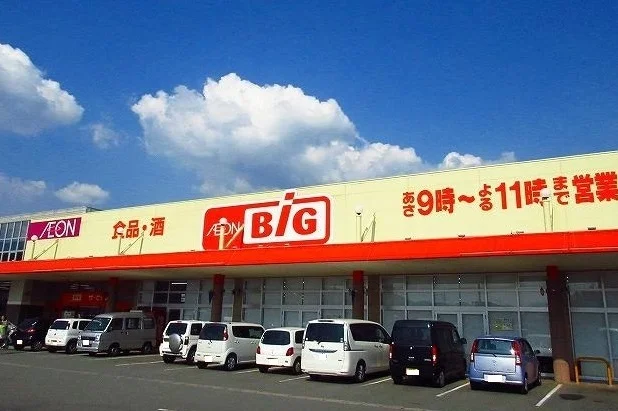 ザ　ビッグ三日月店まで250m