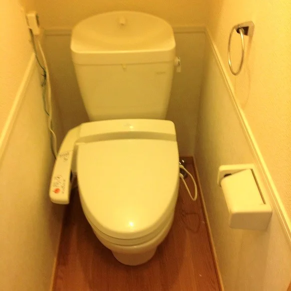 ※写真と現物が異なる場合は現物を優先いたします。