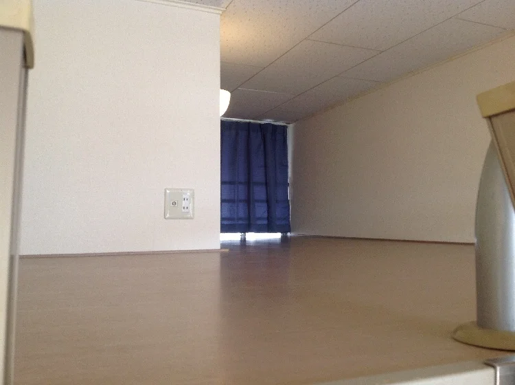 ロフト（大型収納スペース）