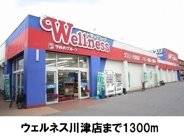 ウェルネス川津店まで1300m