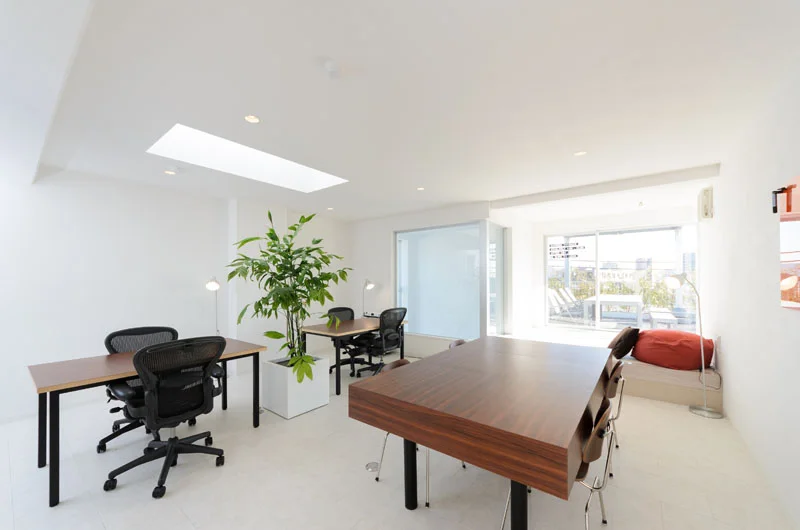 太陽の光りが優しく降り注ぐワークスペース