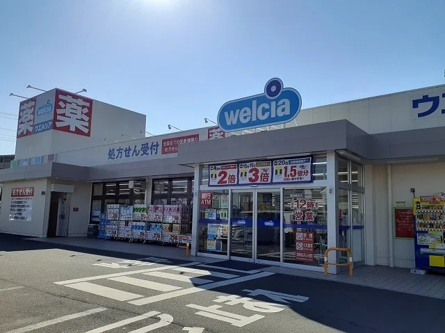 ウエルシア上尾原市店まで1070m