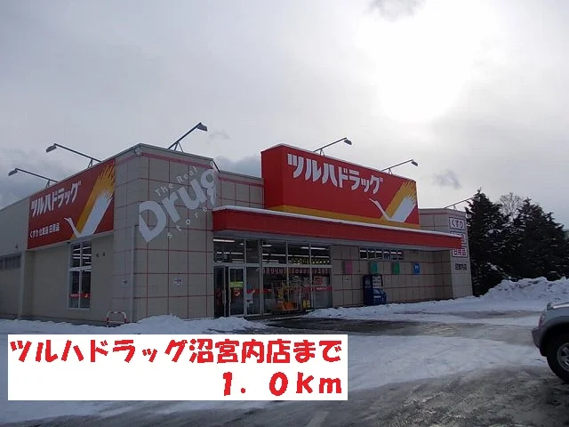 ツルハドラッグ沼宮内店まで1000m