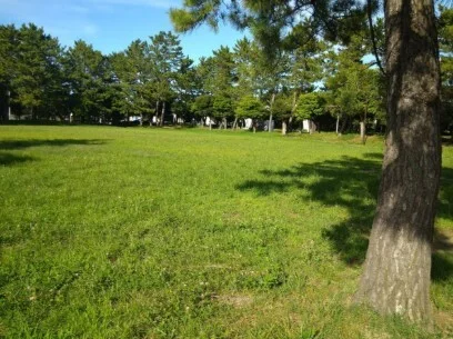 まつかぜ公園まで600m