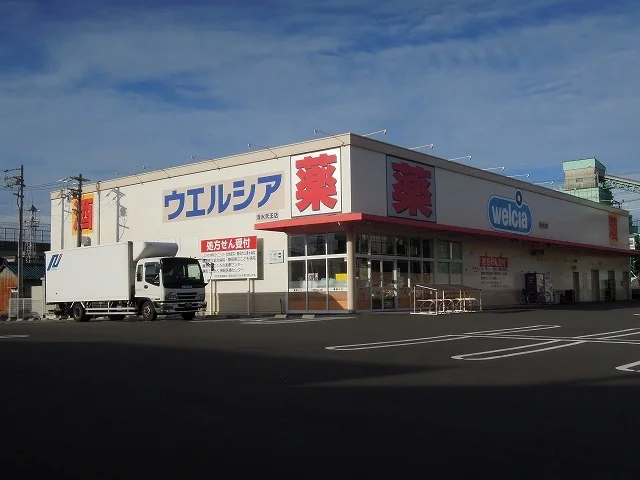 ウエルシア清水天王店まで900m