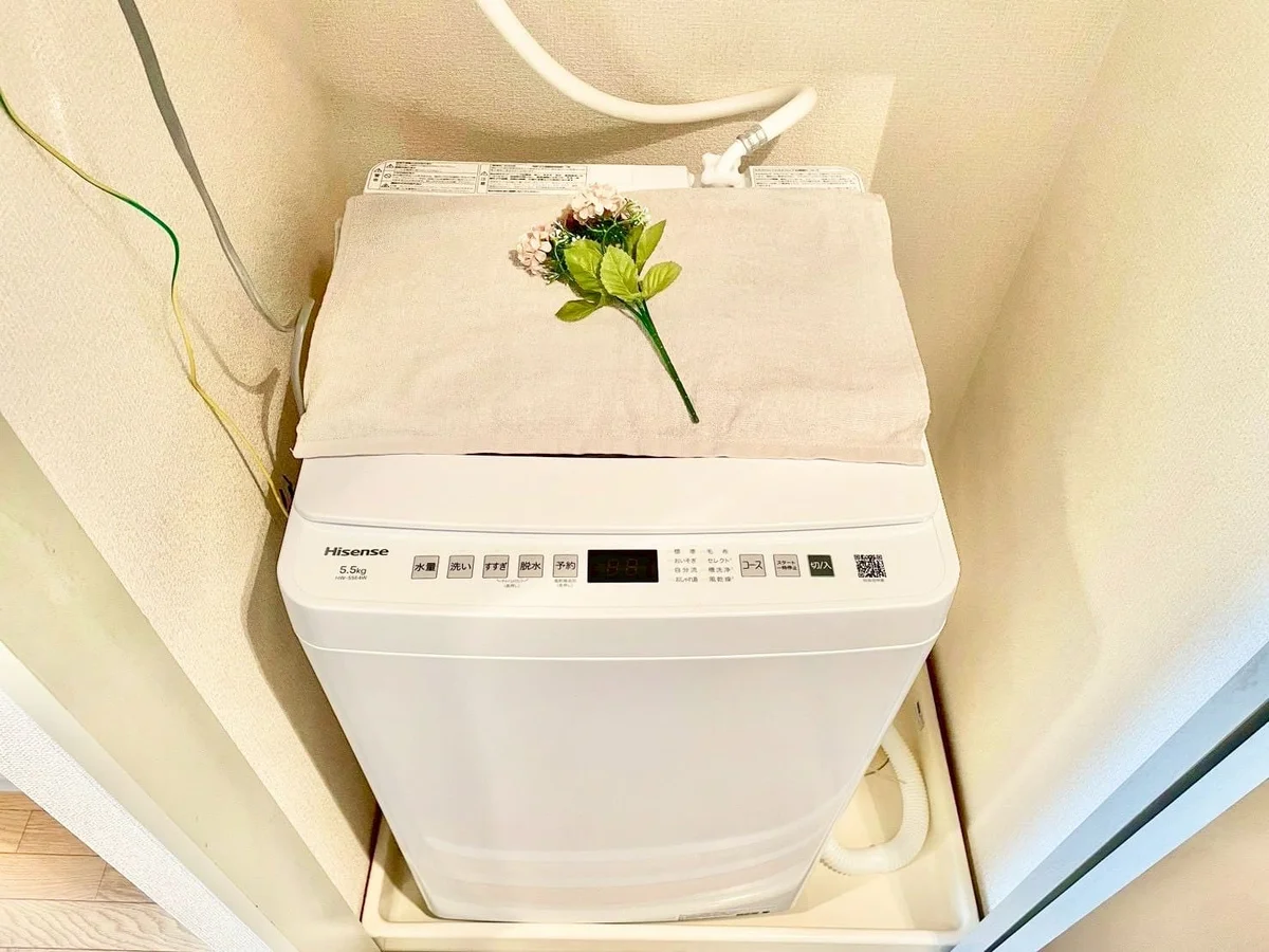 ※撮影用の観察植物・食器調理器具・雑貨類等はございません。※写真は現況優先