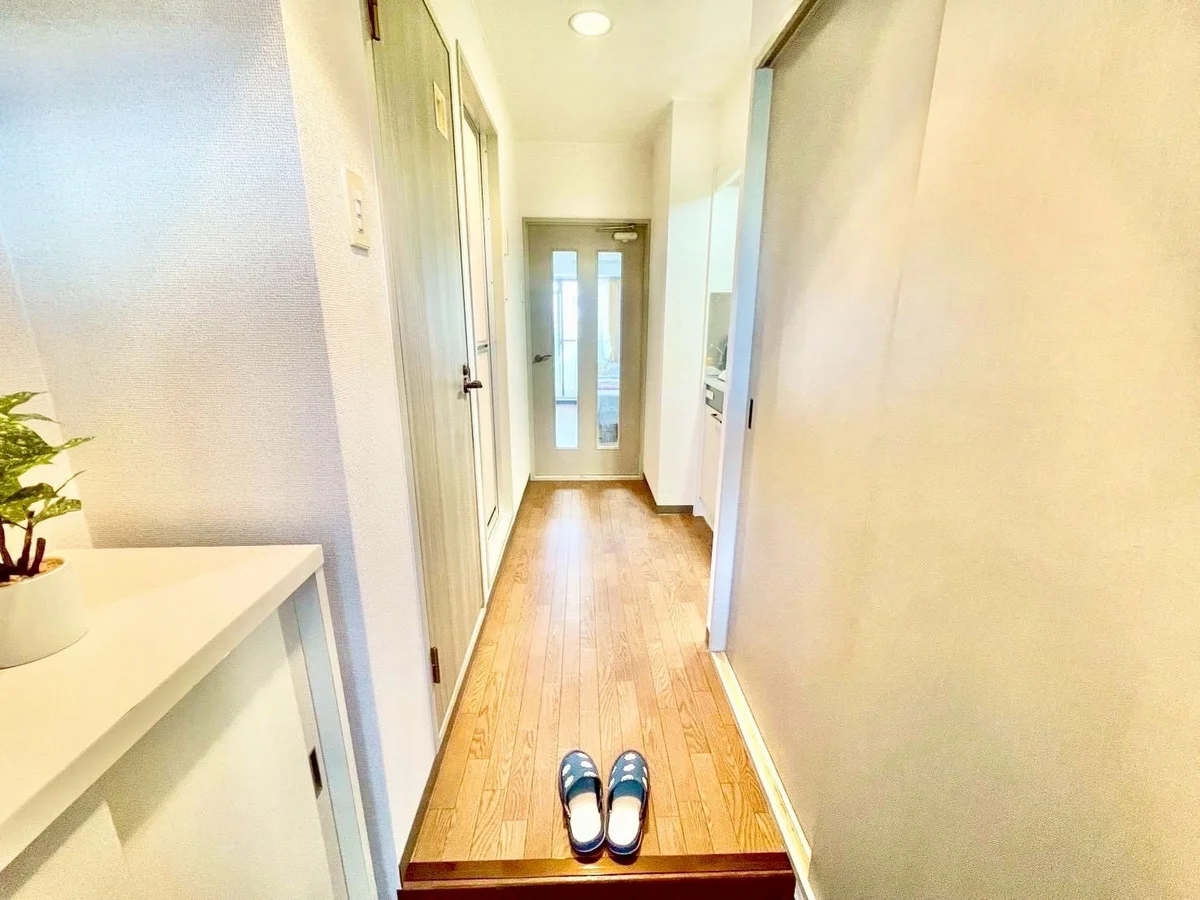 ※撮影用の観察植物・食器調理器具・雑貨類等はございません。※写真は現況優先