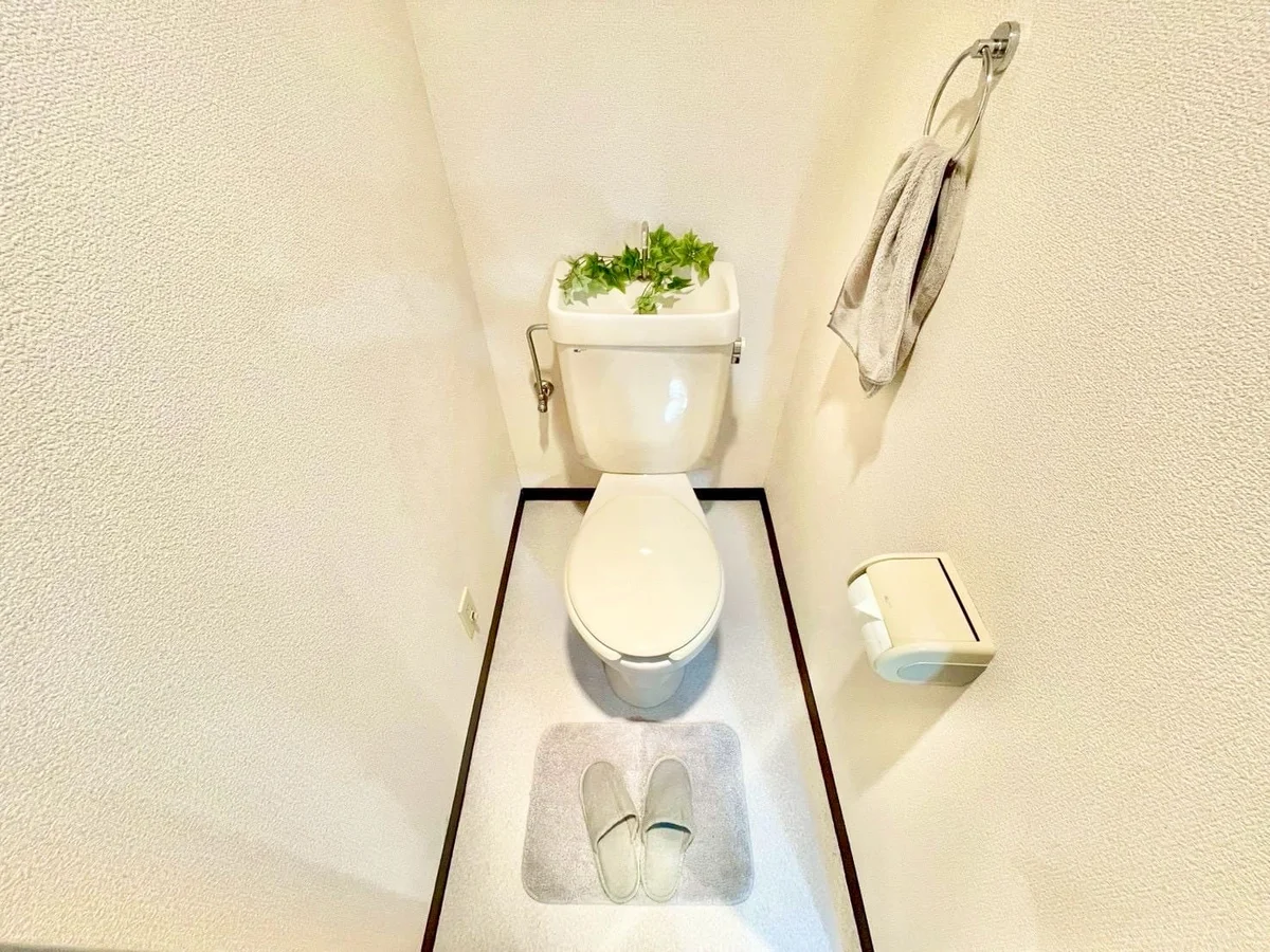 ※撮影用の観察植物・食器調理器具・雑貨類等はございません。※写真は現況優先