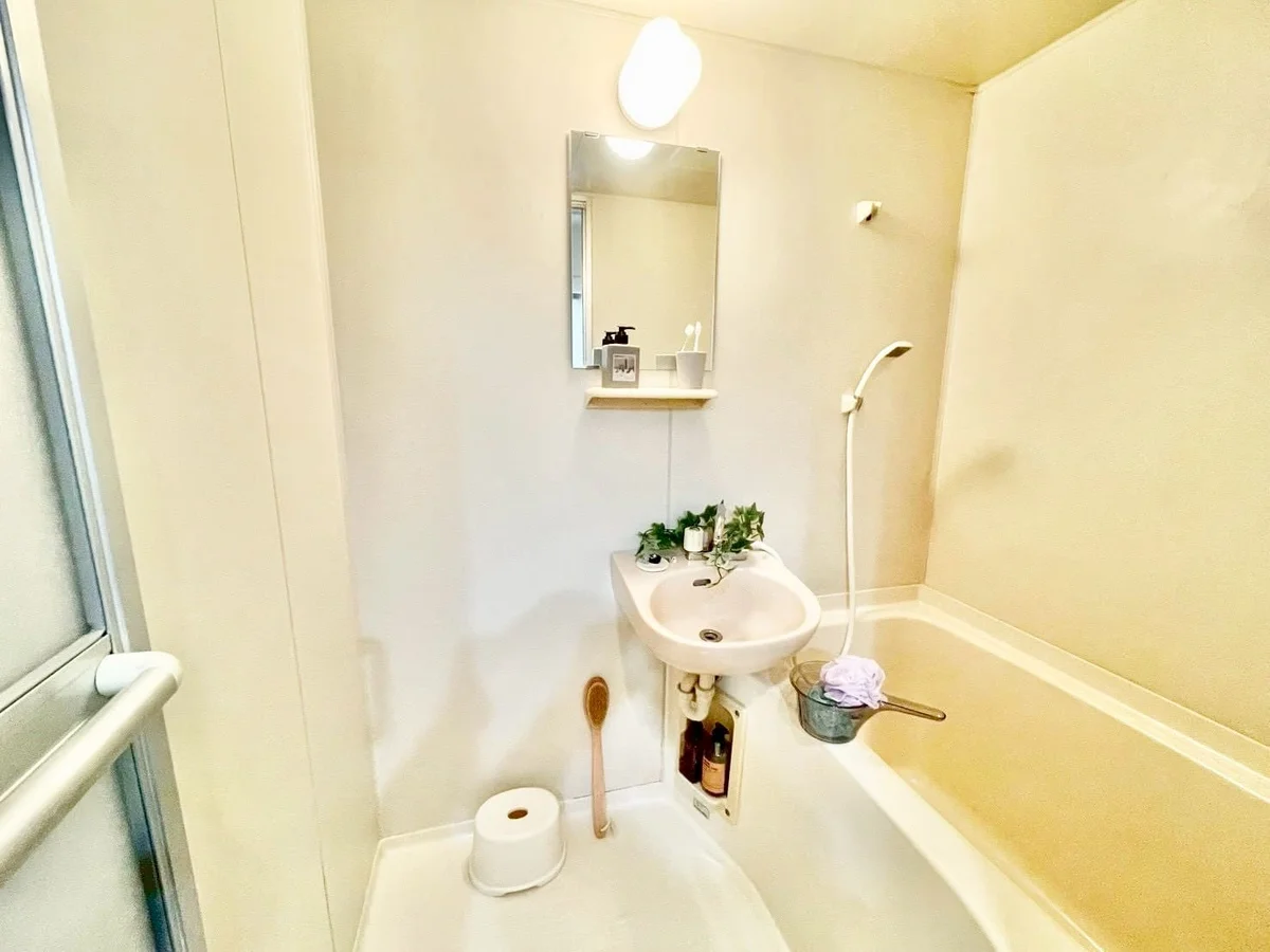 ※撮影用の観察植物・食器調理器具・雑貨類等はございません。※写真は現況優先