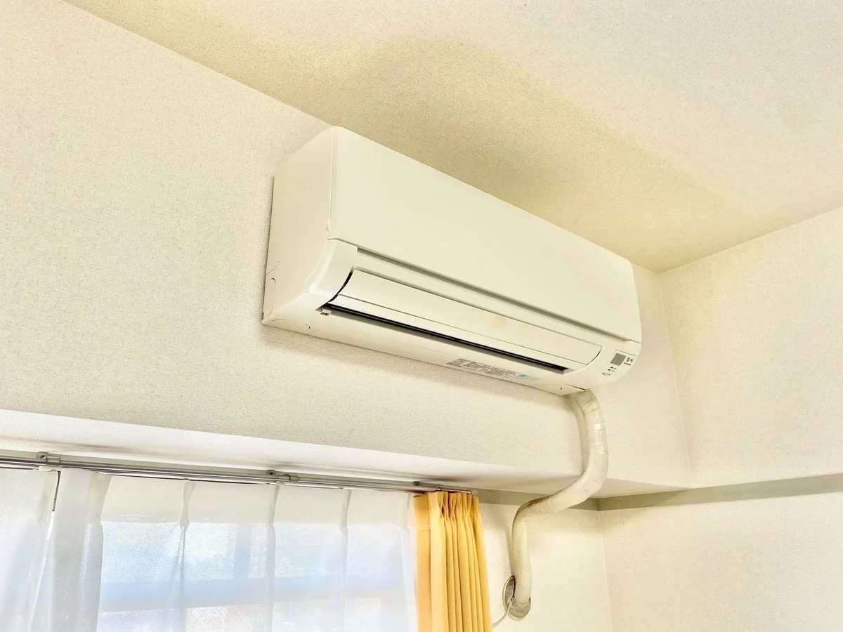 ※撮影用の観察植物・食器調理器具・雑貨類等はございません。※写真は現況優先