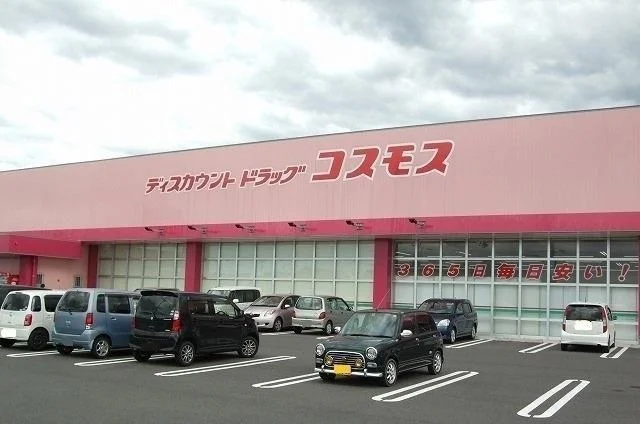 コスモス斐川店まで1100m