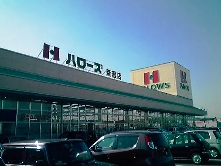 ハローズ新涯店まで1100m