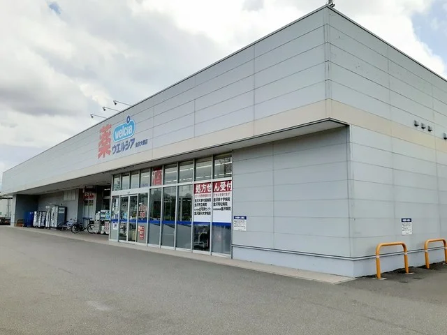 ウエルシア金沢大桑店まで700m