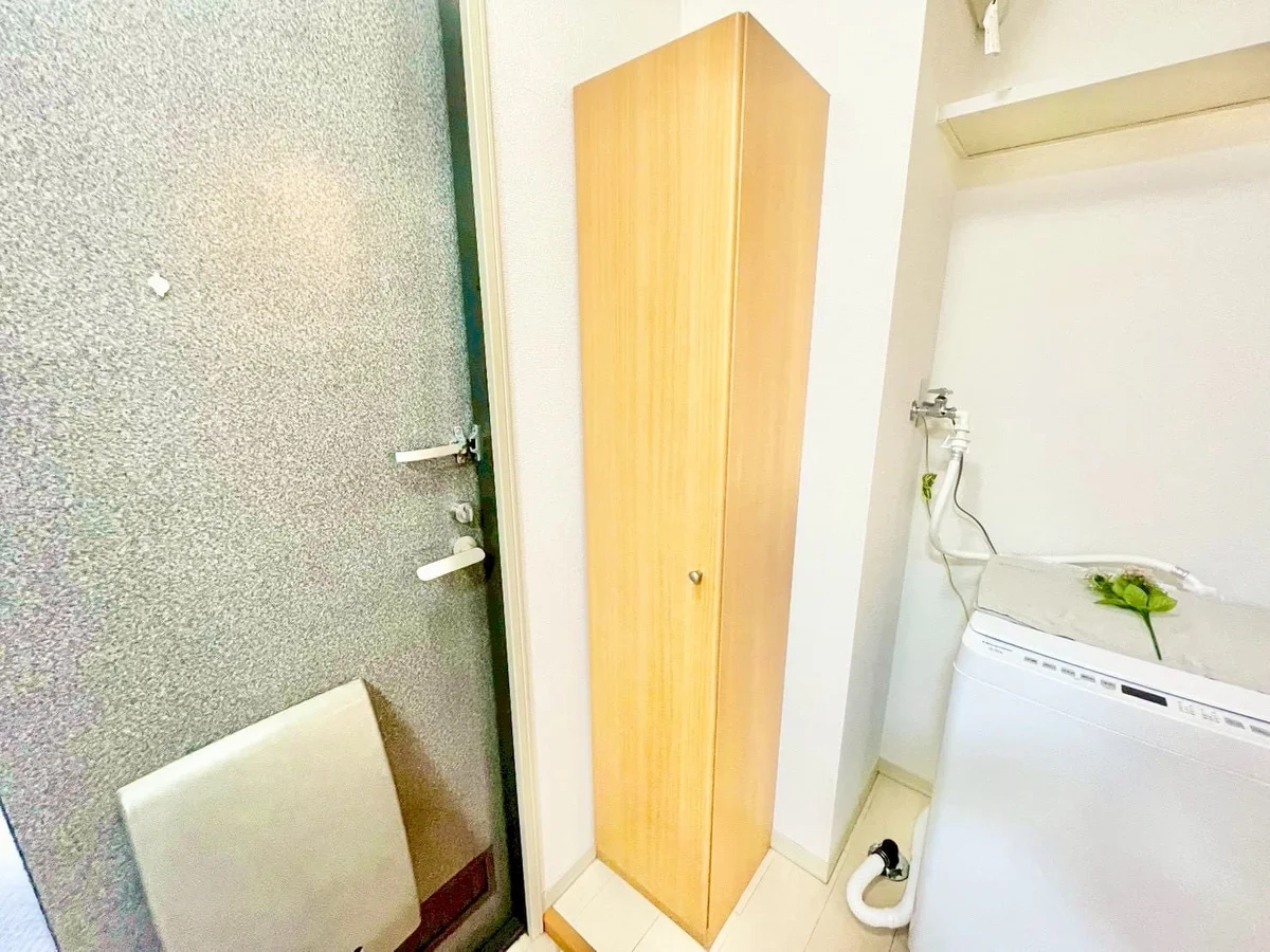 ※撮影用の観察植物・食器調理器具・雑貨類等はございません。※写真は現況優先