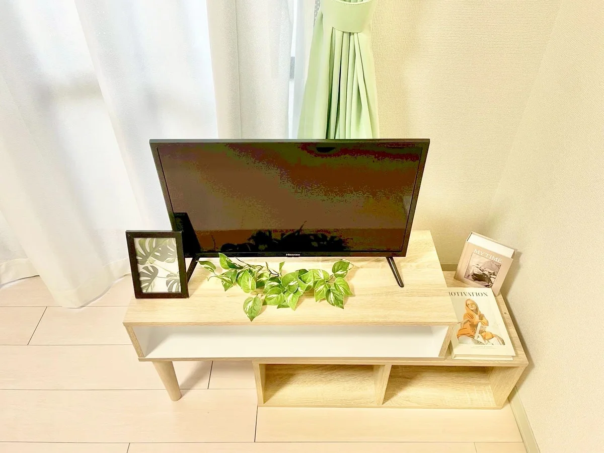 ※撮影用の観察植物・食器調理器具・雑貨類等はございません。※写真は現況優先