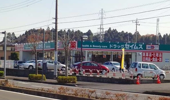 ドラッグストアセイムスまで1700m