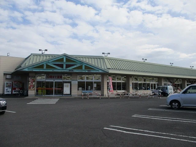 タイヨー都城郡元店まで1000m