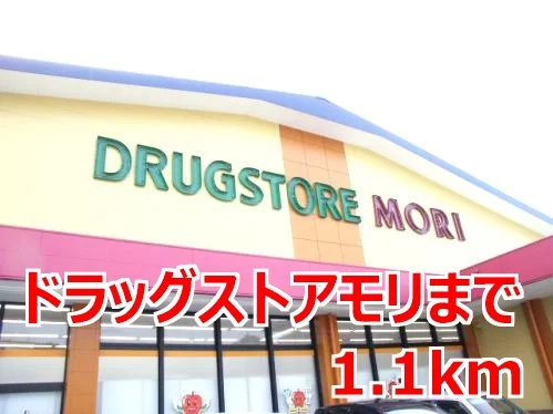 ドラッグストアモリまで1100m