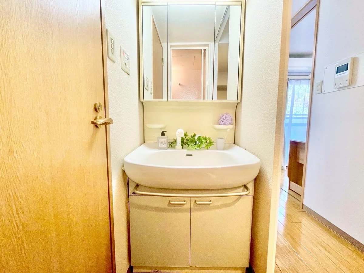 ※撮影用の観察植物・食器調理器具・雑貨類等はございません。※写真は現況優先