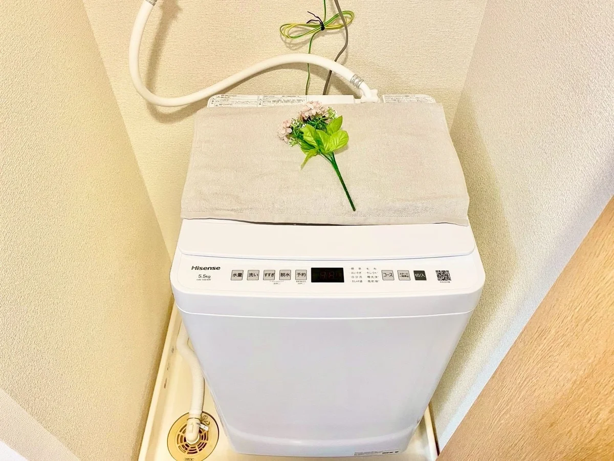 ※撮影用の観察植物・食器調理器具・雑貨類等はございません。※写真は現況優先