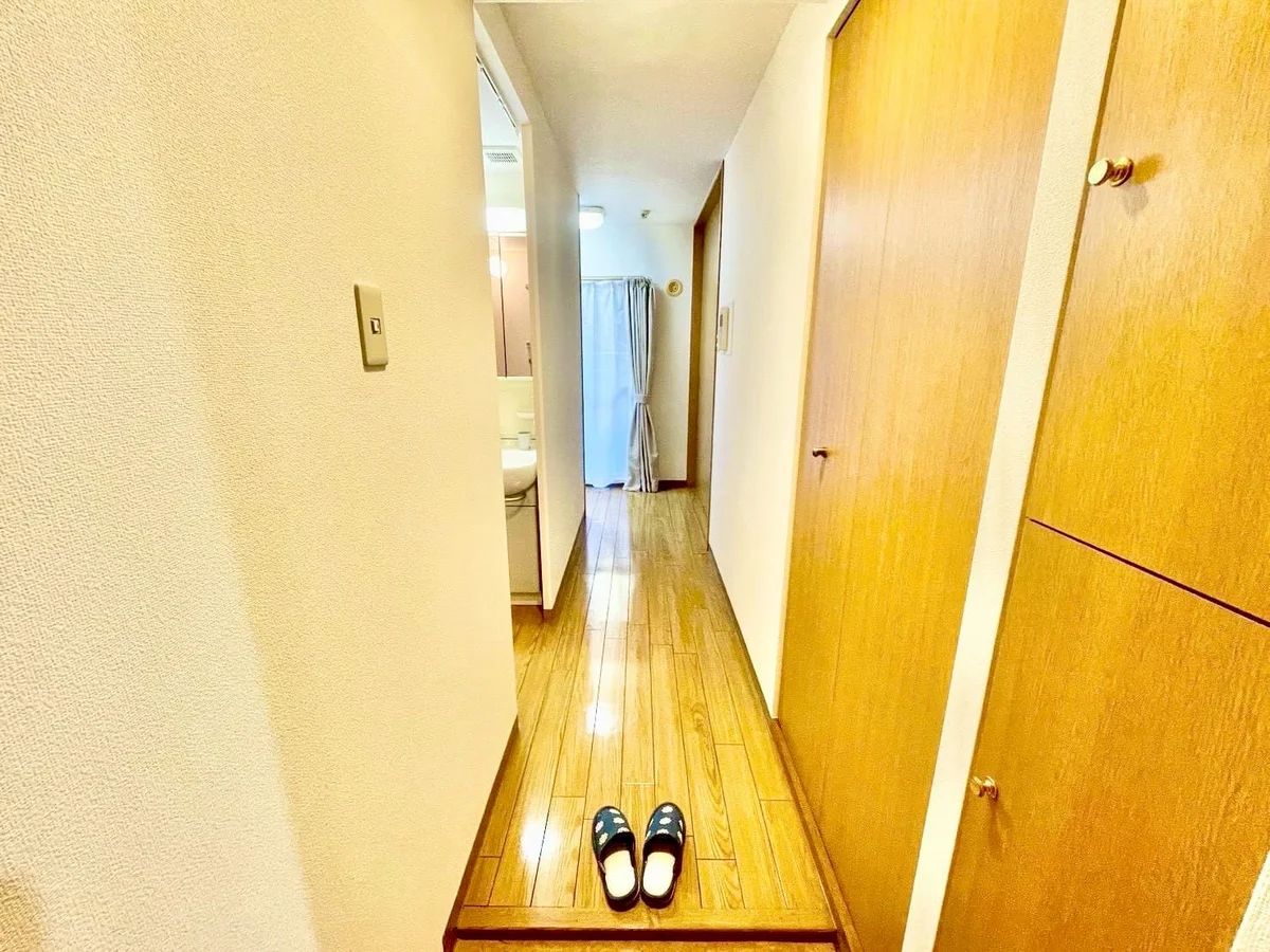 ※撮影用の観察植物・食器調理器具・雑貨類等はございません。※写真は現況優先