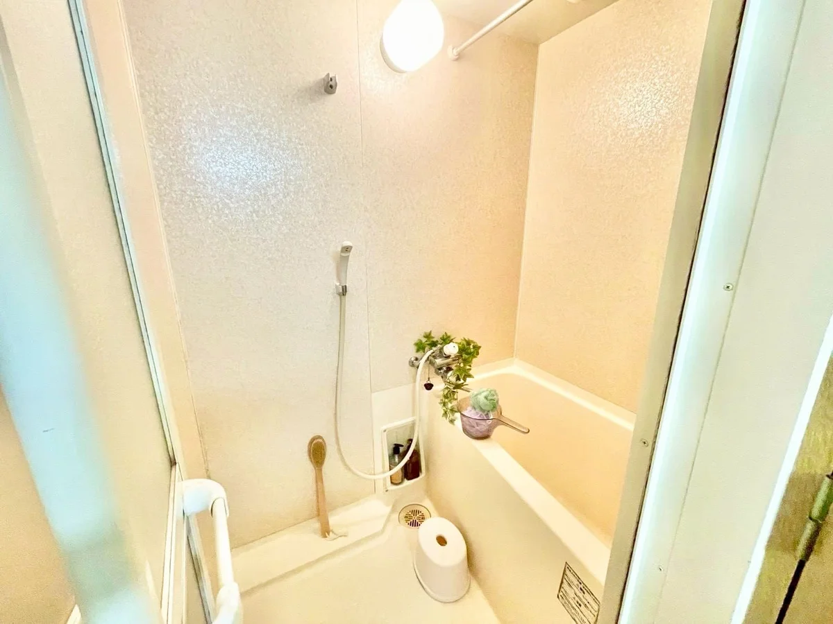 ※撮影用の観察植物・食器調理器具・雑貨類等はございません。※写真は現況優先