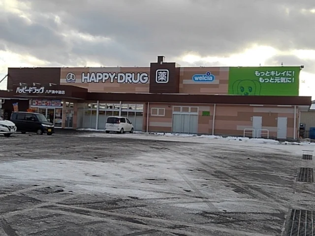 ハッピードラッグ湊中道店まで700m