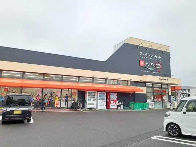 スーパーハリガエまで850m