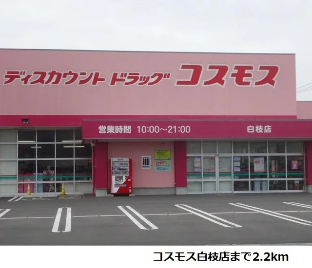 コスモス白枝店まで2200m