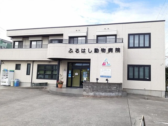 ふるはし動物病院まで608m