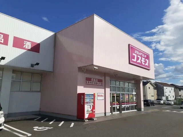 コスモスさんまで2500m