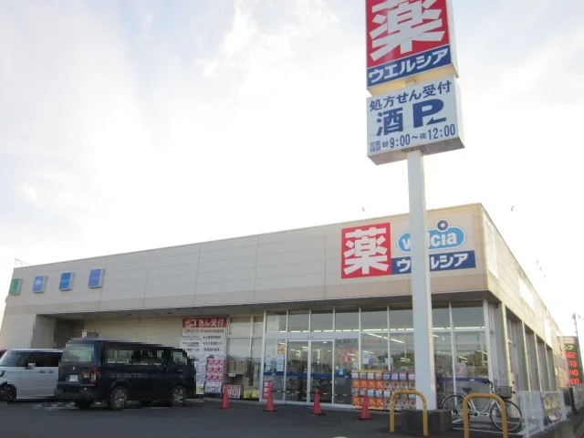 ウエルシア行方玉造店まで3700m