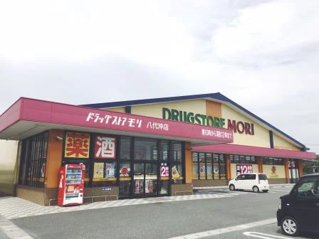 ドラッグストアモリ約1.2km