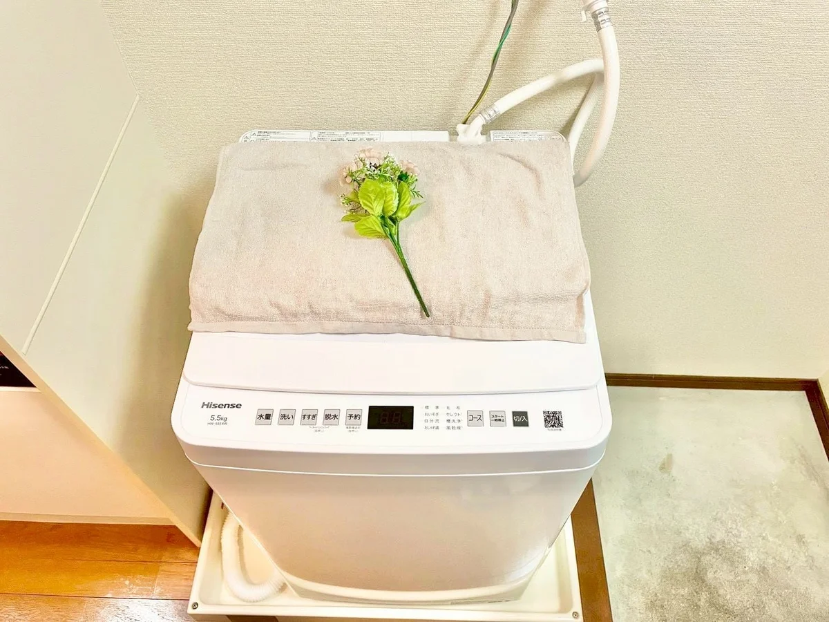※撮影用の観察植物・食器調理器具・雑貨類等はございません。※写真は現況優先