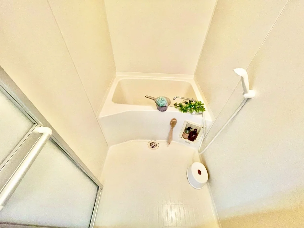 ※撮影用の観察植物・食器調理器具・雑貨類等はございません。※写真は現況優先