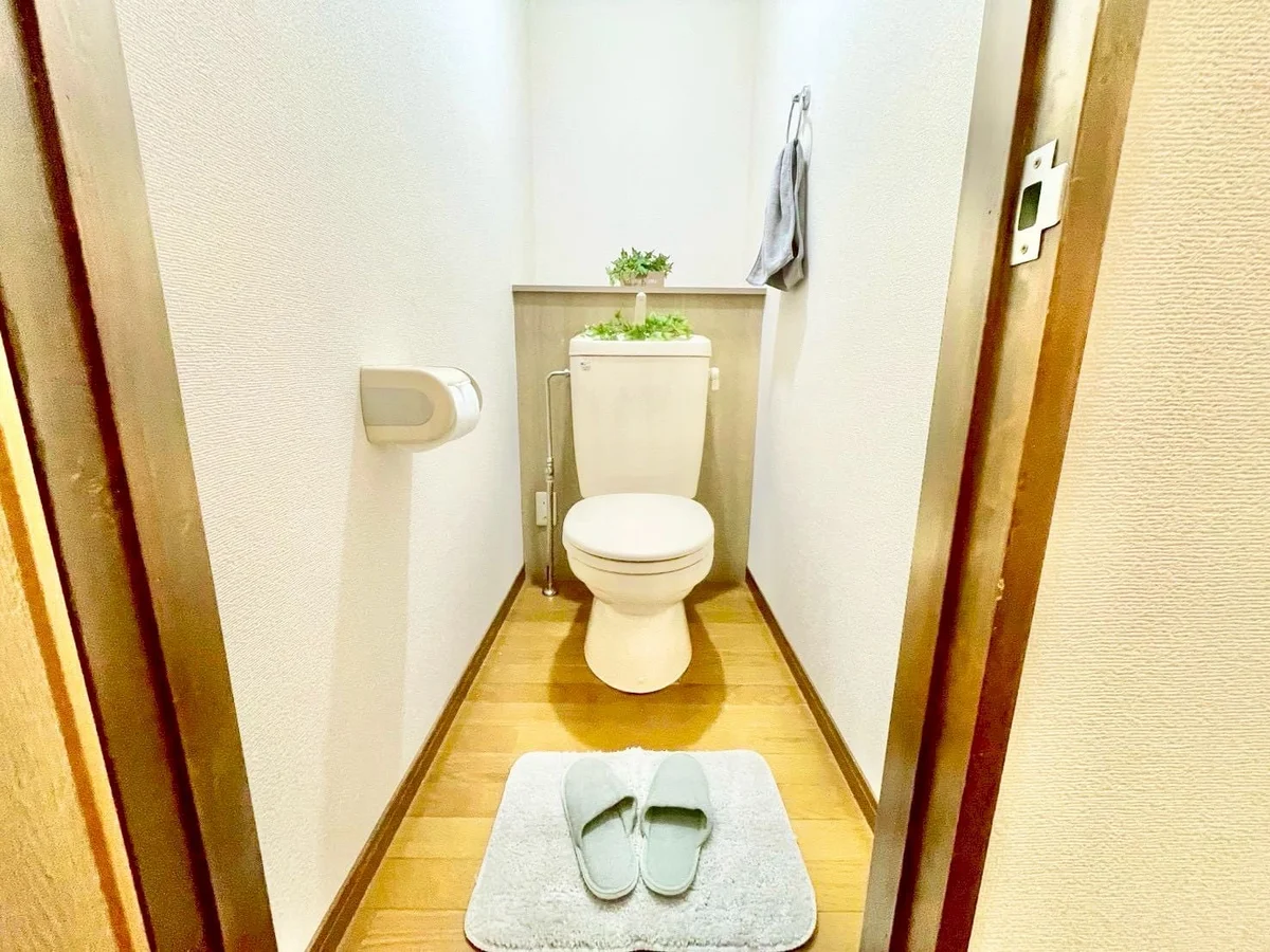 ※撮影用の観察植物・食器調理器具・雑貨類等はございません。※写真は現況優先